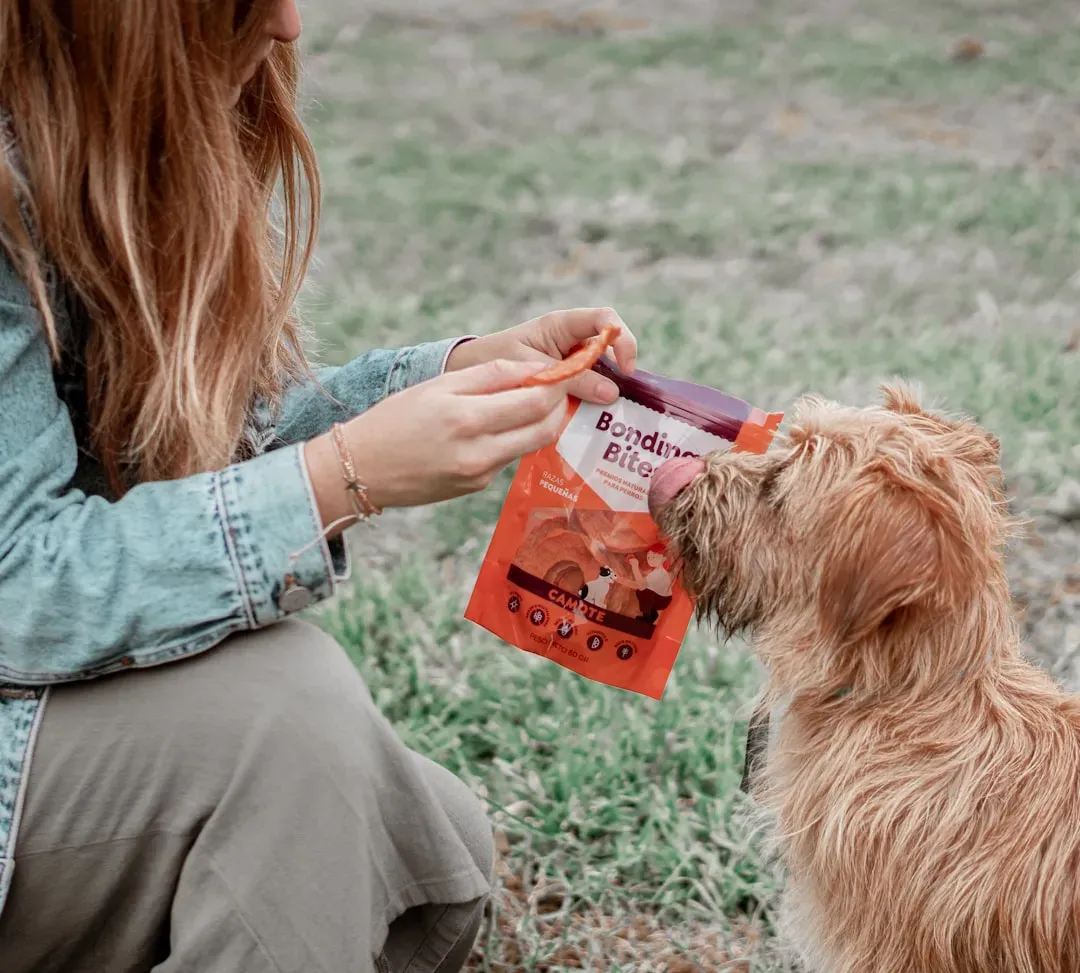 #7 - The Crinkle of a Treat Bag or Fridge Door (Image Credits: Unsplash)