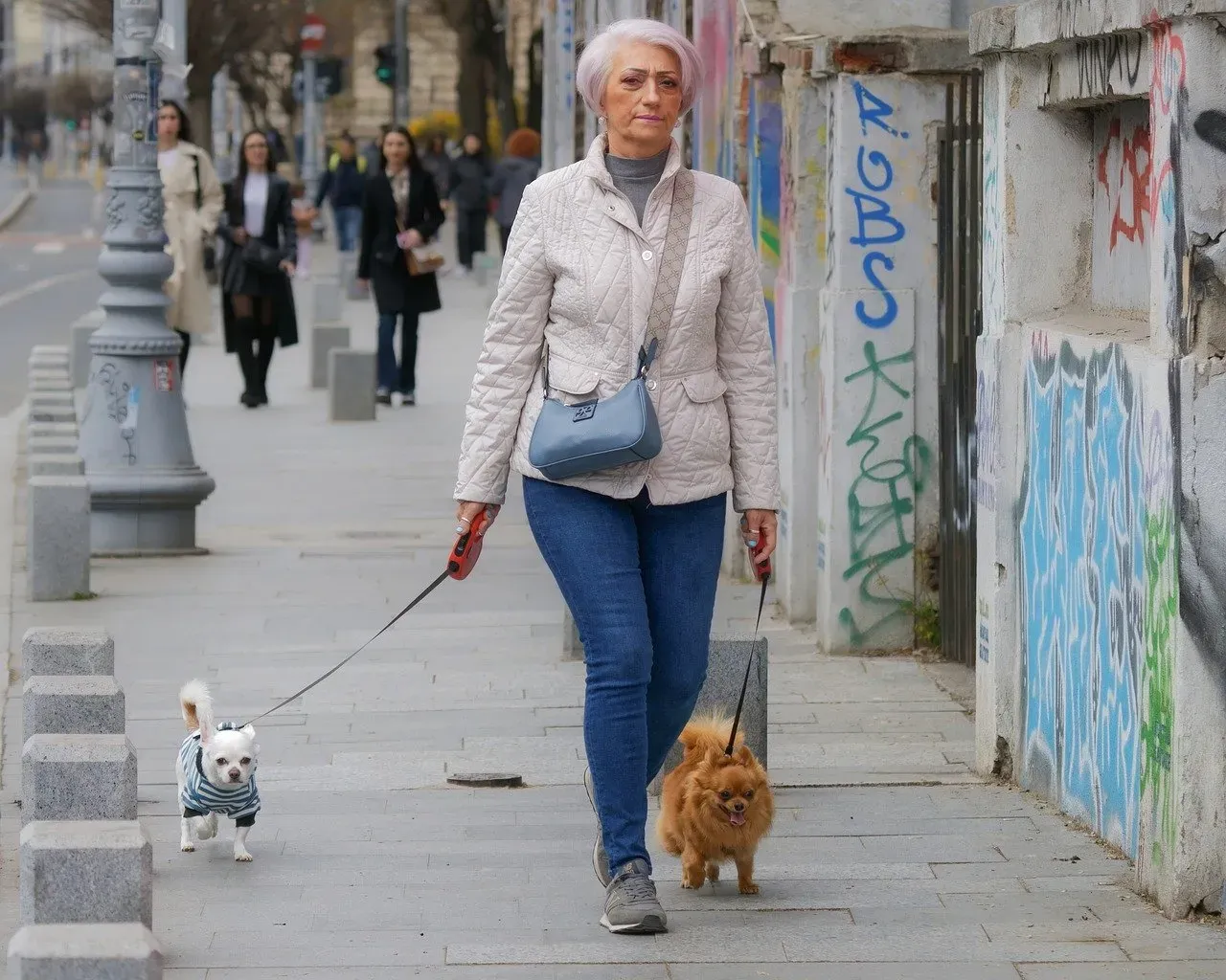 Setting Your Dog Up for Success in the City (Image Credits: Pixabay)