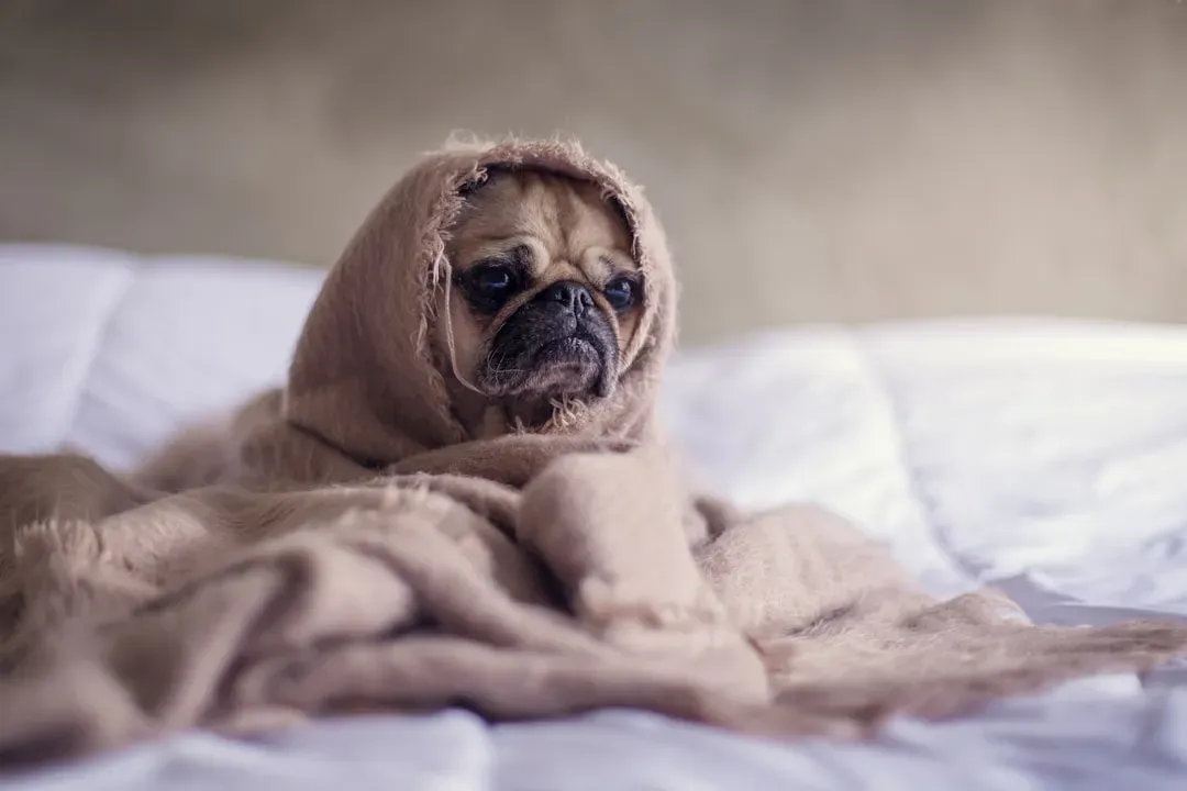 4. When You’re Anxiously Rushing Around (Image Credits: Unsplash)
