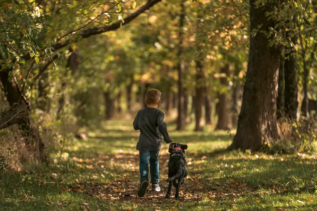 #5 - The Invisible Scent Trails You Walk Straight Through (Image Credits: Pixabay)