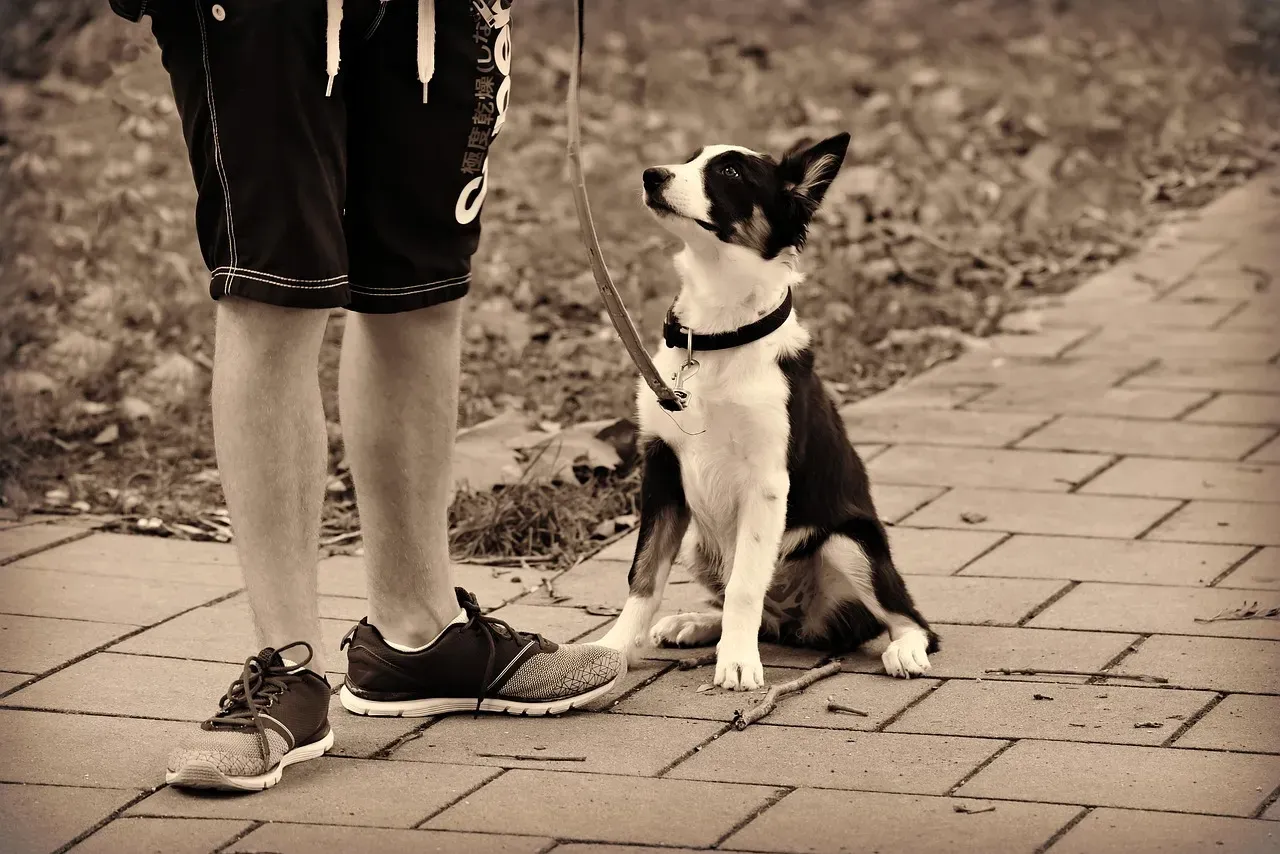#6 - The "You're Home" Anticipation Minutes Before You Arrive (Image Credits: Pixabay)