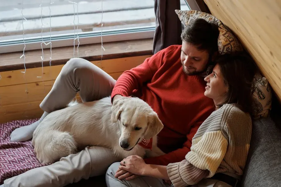 Taurus: The Cozy Golden Retriever That Just Wants Comfort and Peace (Image Credits: Pexels)
