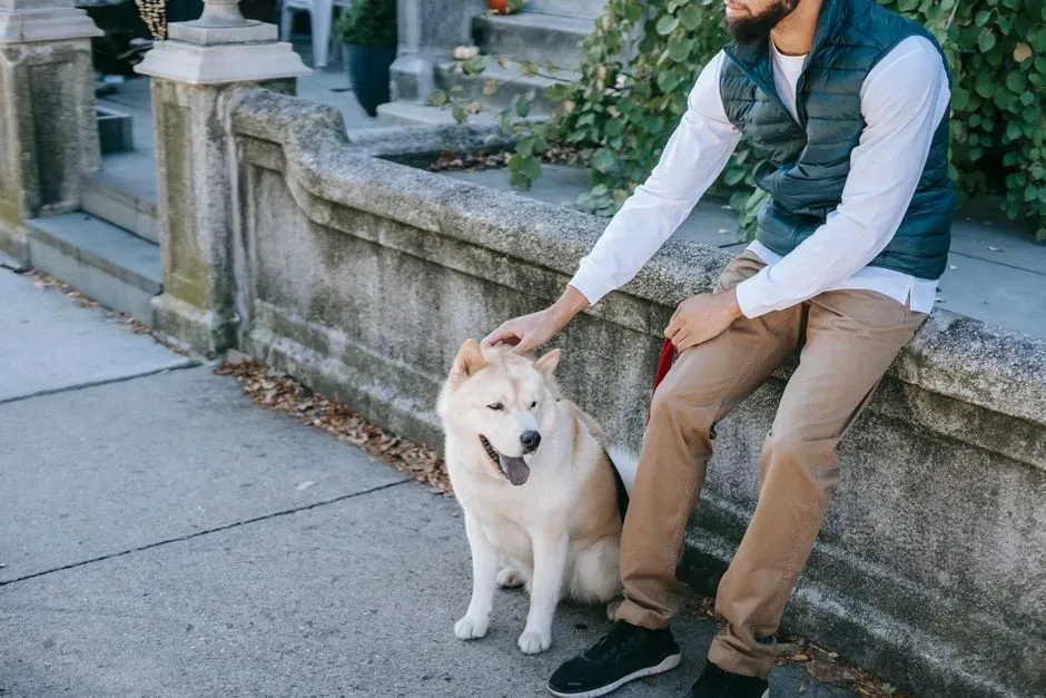 Leo: The Loyal Companion (Image Credits: Pexels)