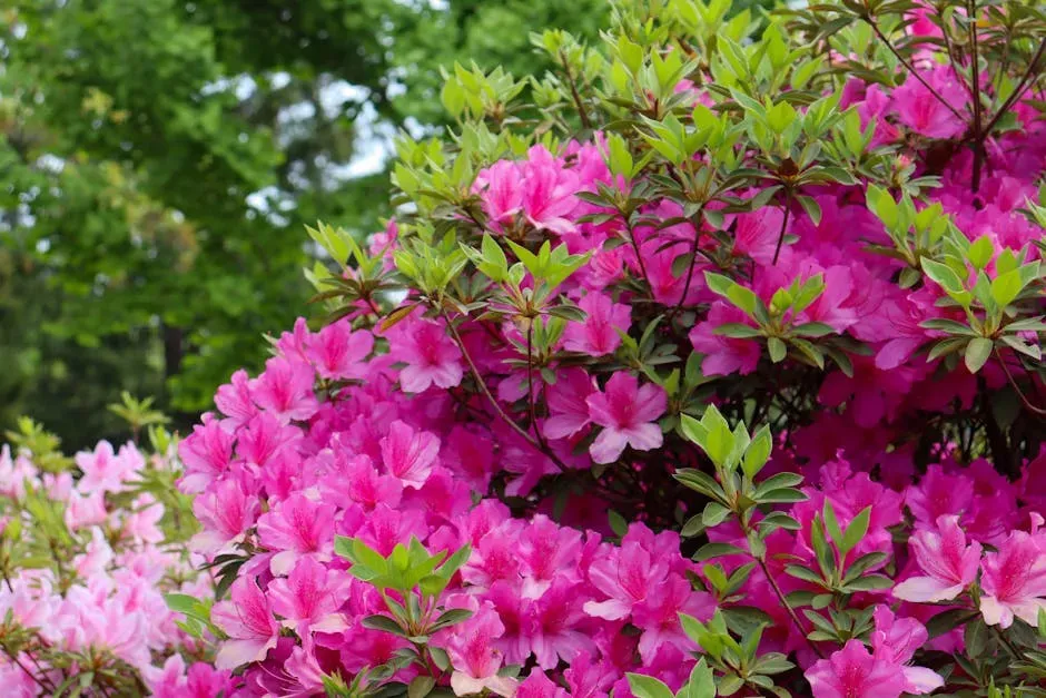5. Azalea and Rhododendron: The Backyard Staple That Bites Back (Image Credits: Pexels)