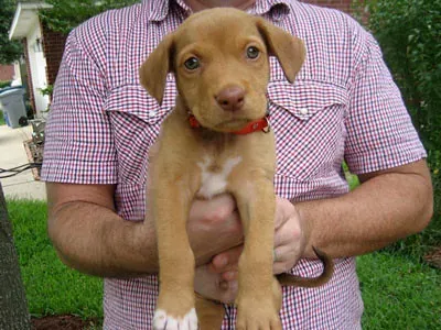 Conclusion (Image Credits: Flickr)