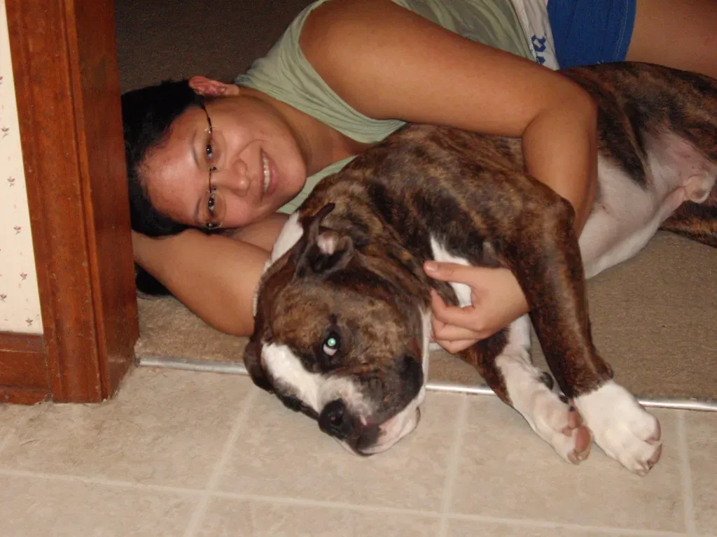 Bulldog: The Stocky Snuggle Bug (Image Credits: Flickr)