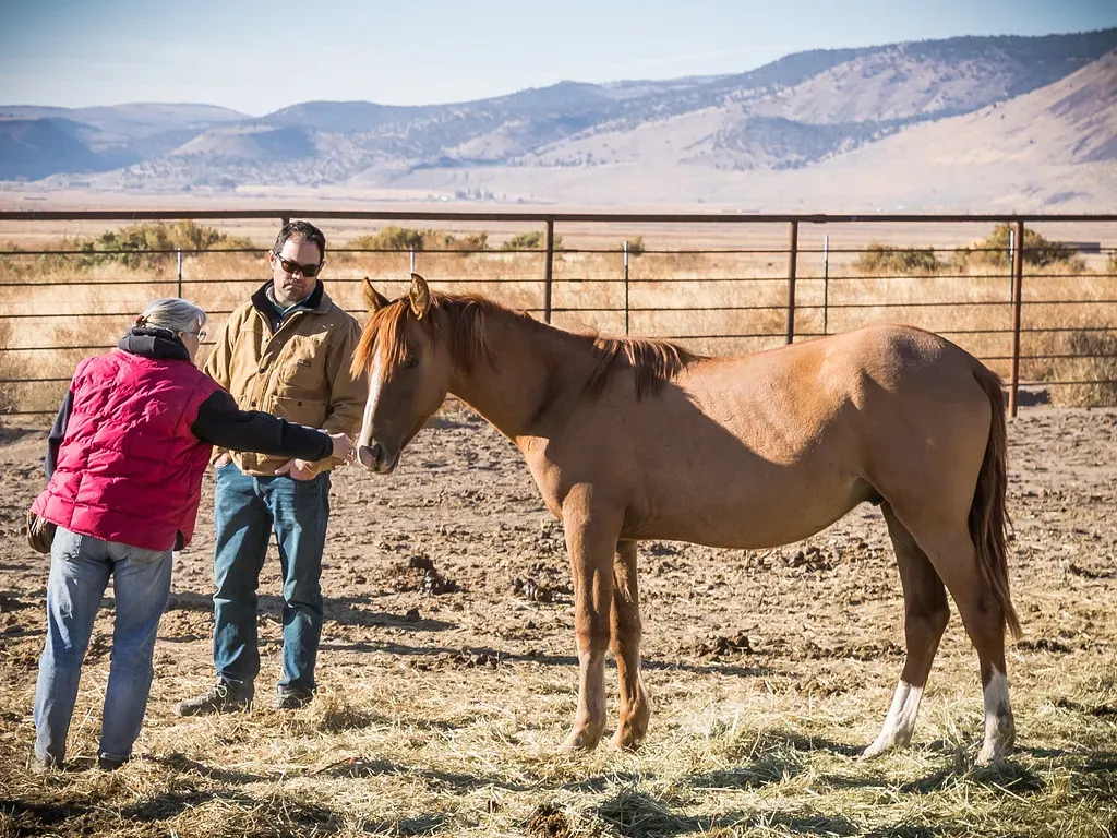 Conclusion (Image Credits: Flickr)