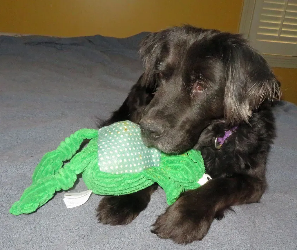 Moving Forward Together (Image Credits: Flickr)