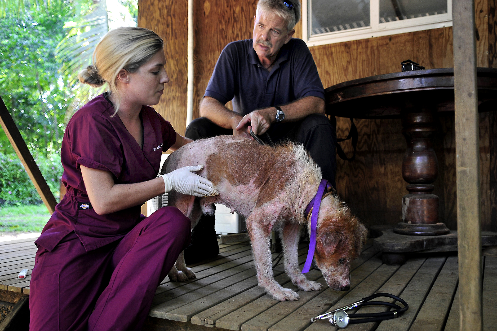 Monitor and Know When to Seek Help (Image Credits: Wikimedia)