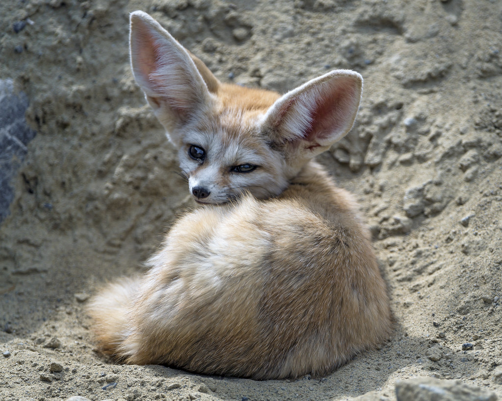 Conclusion (Image Credits: Flickr)