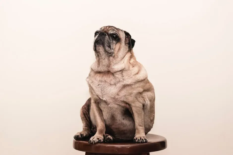 Unexplained Weight Shifts (Image Credits: Pexels)