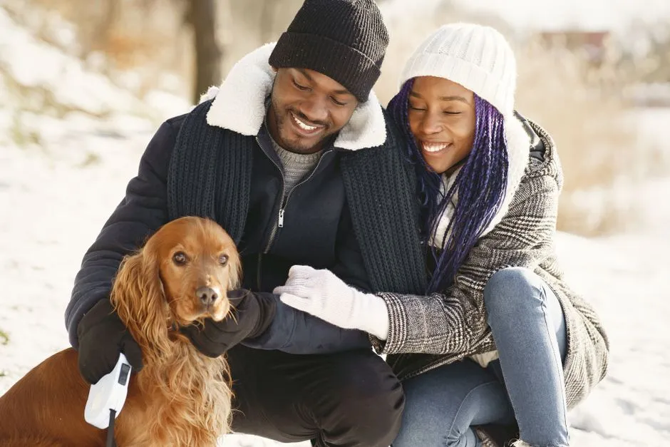 Temperature Sensitivity and Seasonal Shifts (Image Credits: Pexels)