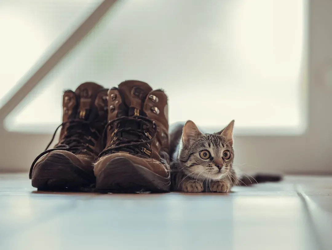 8. How Much Control They Have Over Their World (Image Credits: Unsplash)