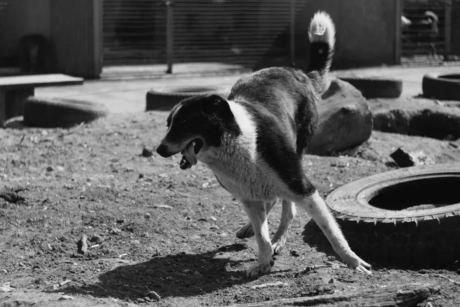 #3. Hypervigilance and Startling Easily (Image Credits: Pexels)