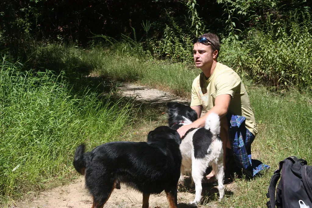 2. Asheville, North Carolina: The Blue Ridge is Calling (USFWS/Southeast, Flickr, CC BY 2.0)