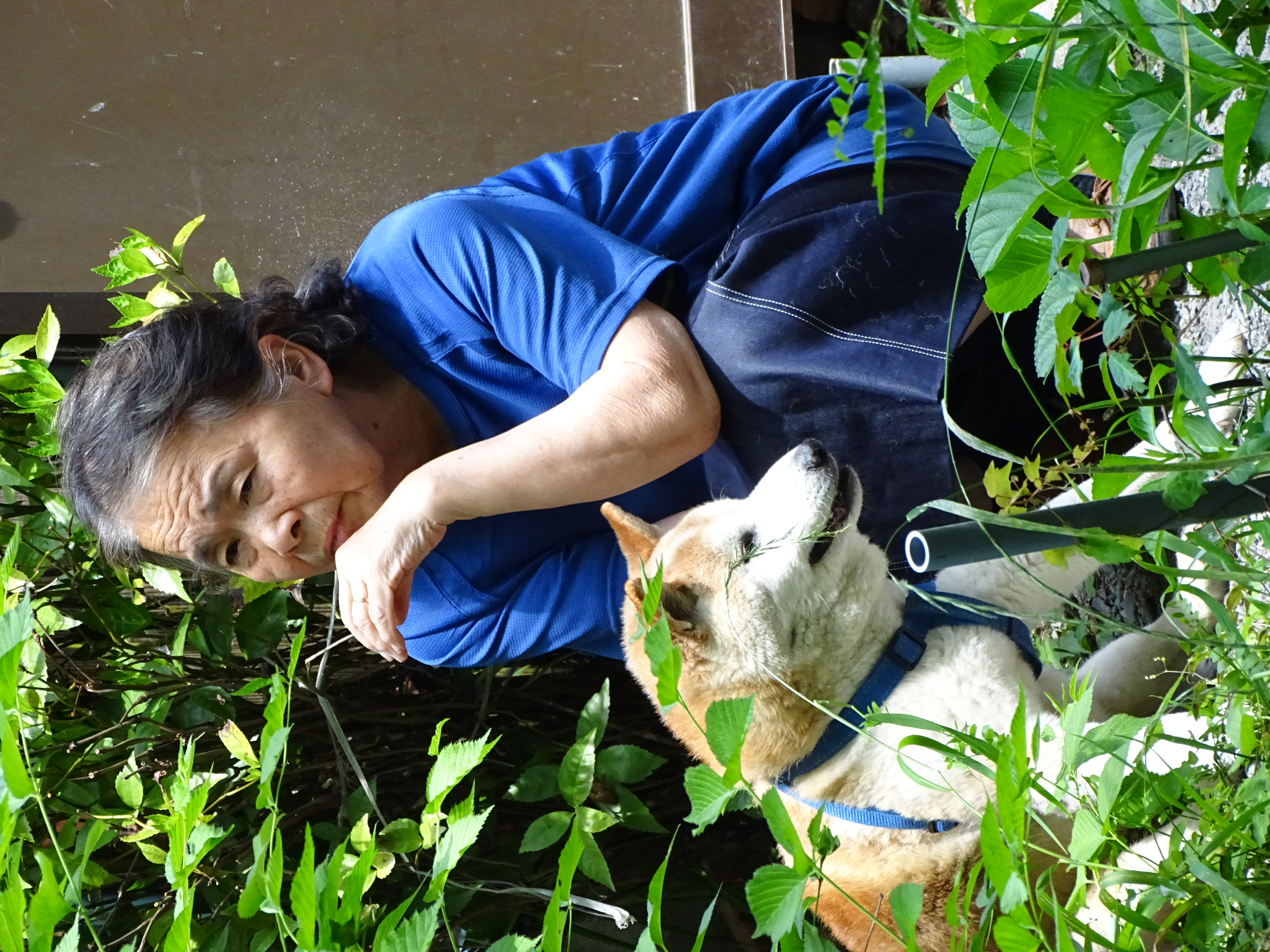 The Science Behind Human-Dog Aging Bonds (Image Credits: Wikimedia)