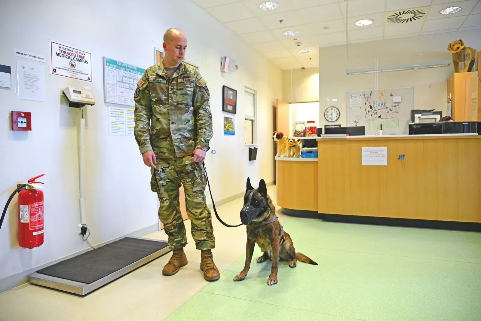 Never Skip the Vet Visit (Image Credits: Wikimedia)