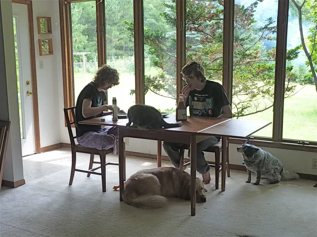 #1 - Sneaking the Dog Human Food Under the Table (normanack, Flickr, CC BY 2.0)