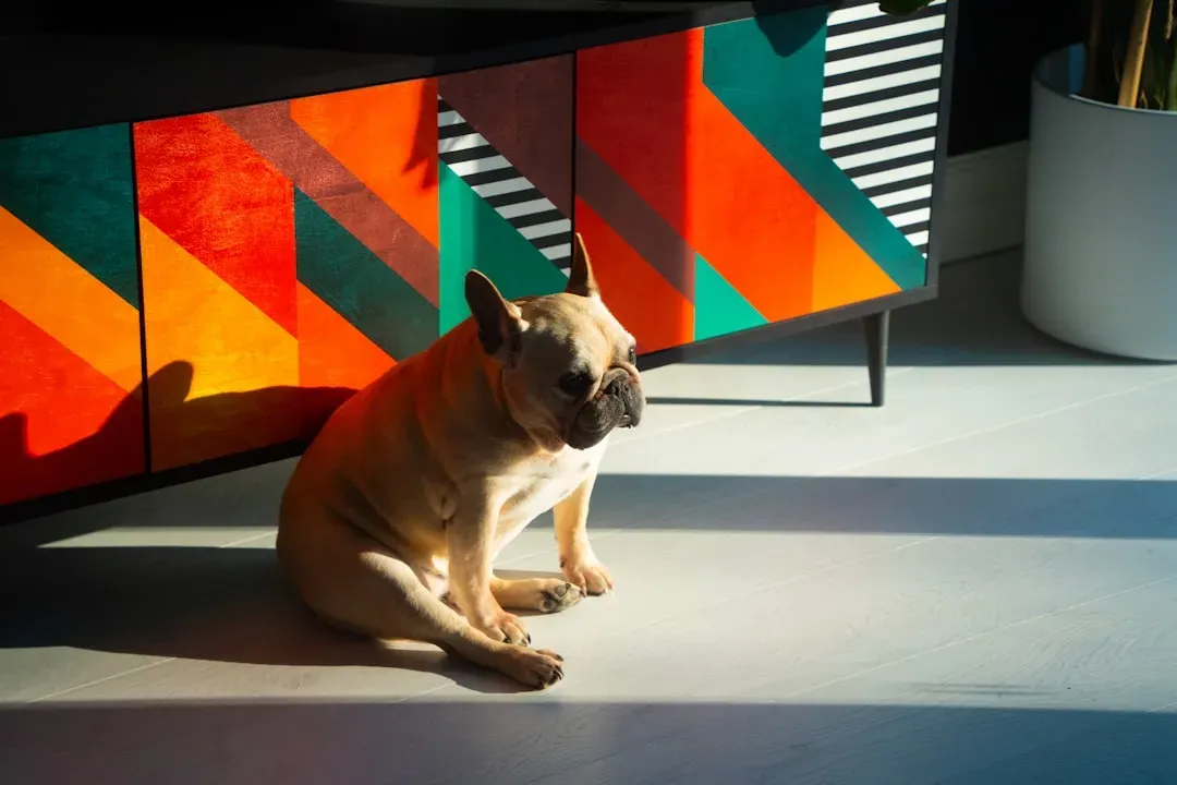 3. Secure Cabinets and Toxins (Image Credits: Unsplash)