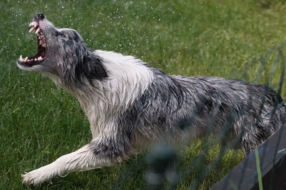 Everyday Moments When You’ll Notice the Shake‑Off (Image Credits: Pexels)