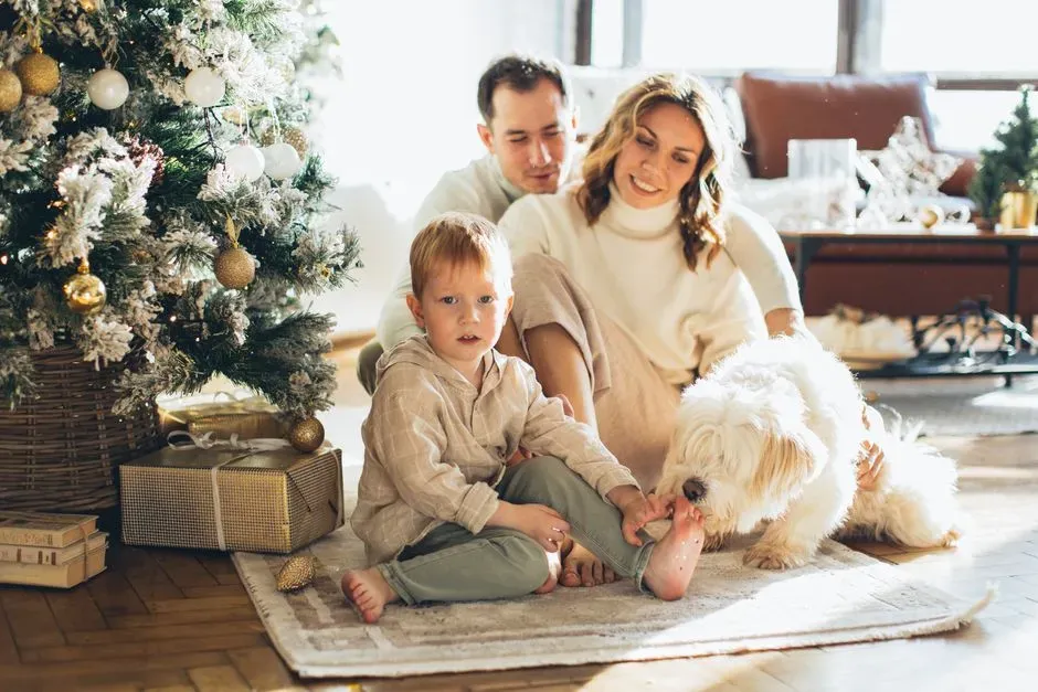 #8 - What Your Home Quietly Reveals About Safety and Stability (Image Credits: Pexels)