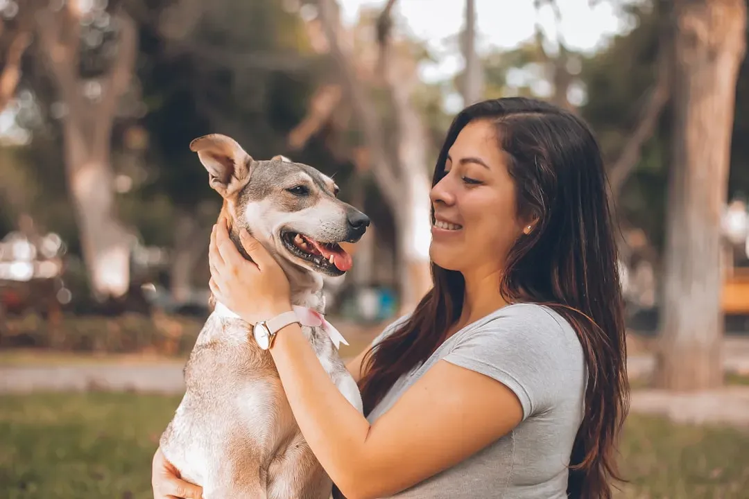 How Dogs Sort Humans Into “Reliable” And “Unreliable” Categories (Image Credits: Unsplash)