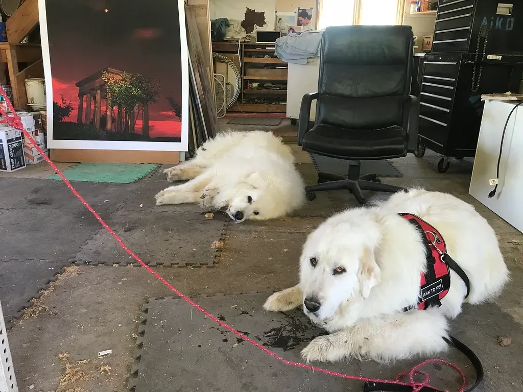 Your Timing Has to Be Perfect, and It Never Is (Image Credits: Flickr)