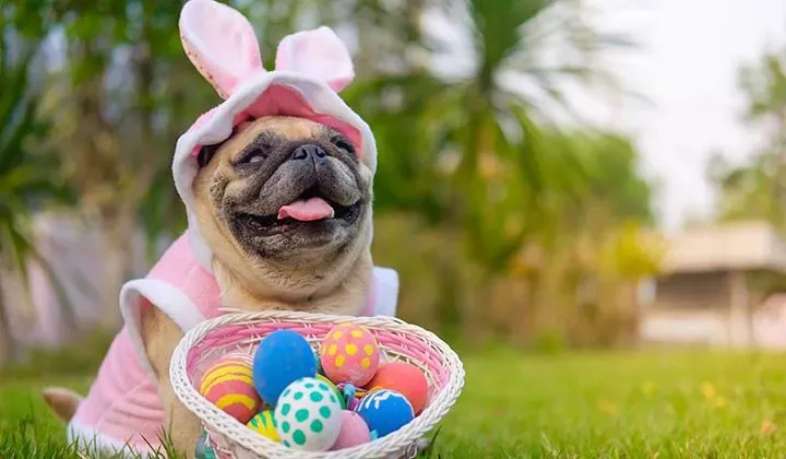 They're Sharing Something Precious With You (Image Credits: Flickr)