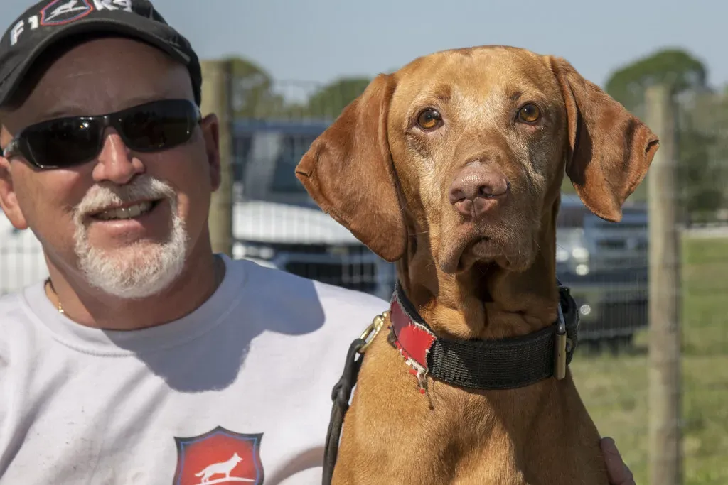 The Bond Between You and Your Dog Depends on How You Train (Image Credits: Flickr)