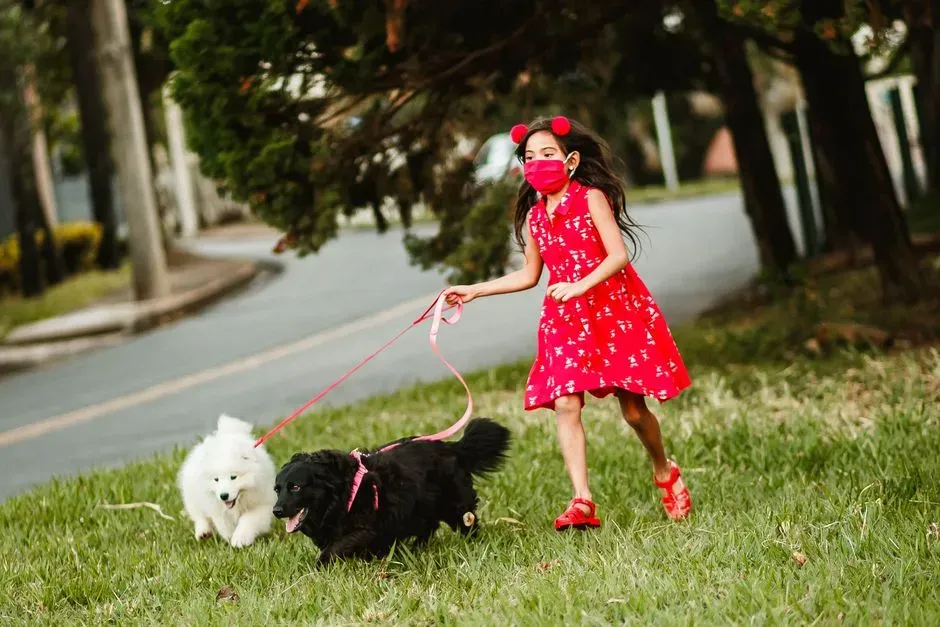 Conclusion: Loving Your Dog Enough to Be Honest About Risk (Image Credits: Pexels)
