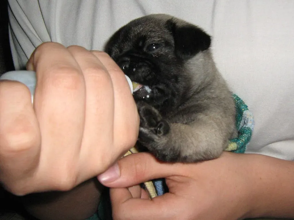 Conclusion (Image Credits: Flickr)