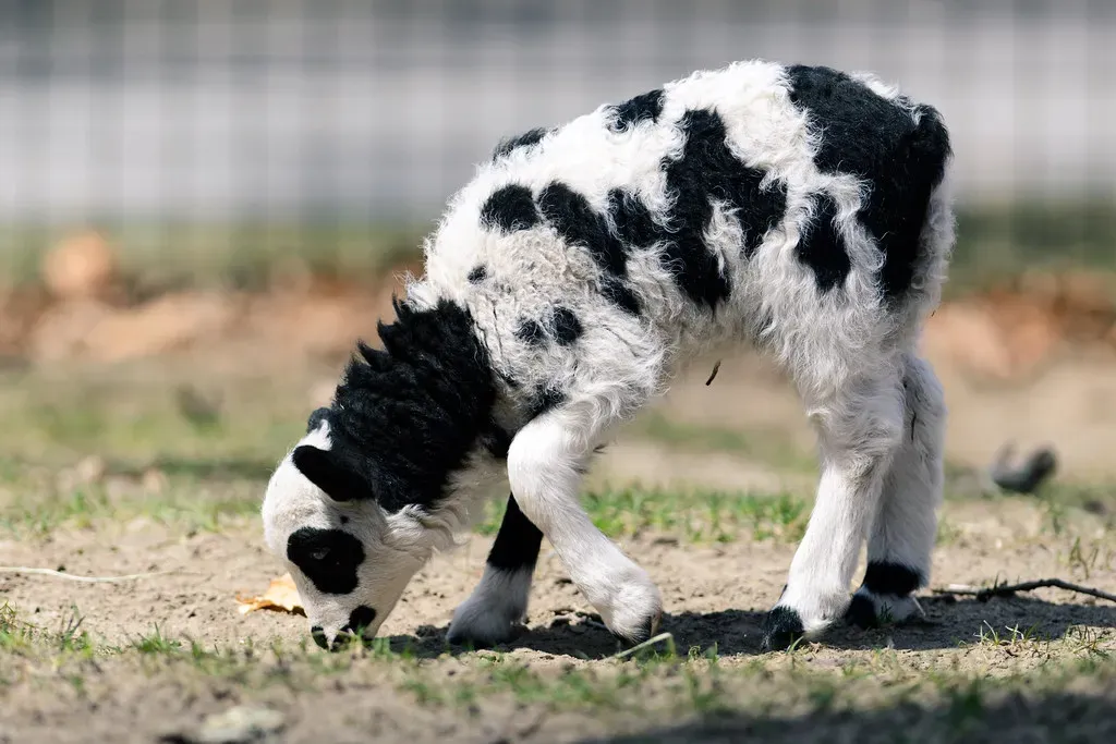 Conclusion (Image Credits: Flickr)