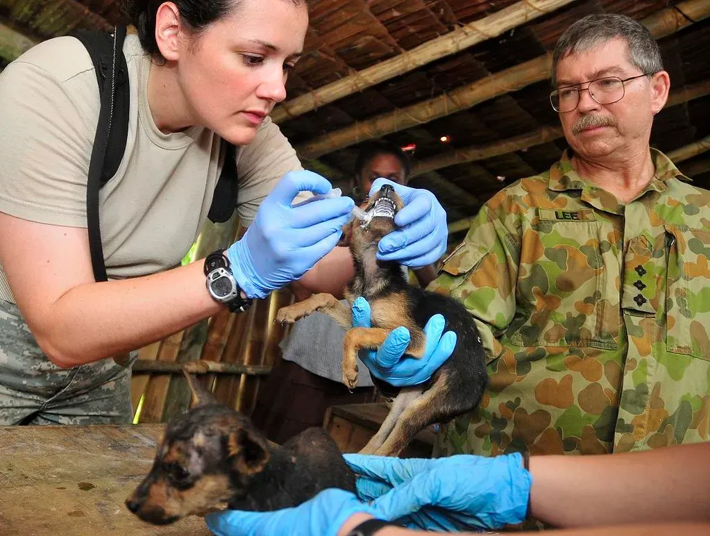 Delaying or Skipping Deworming and Early Veterinary Care (Image Credits: Flickr)