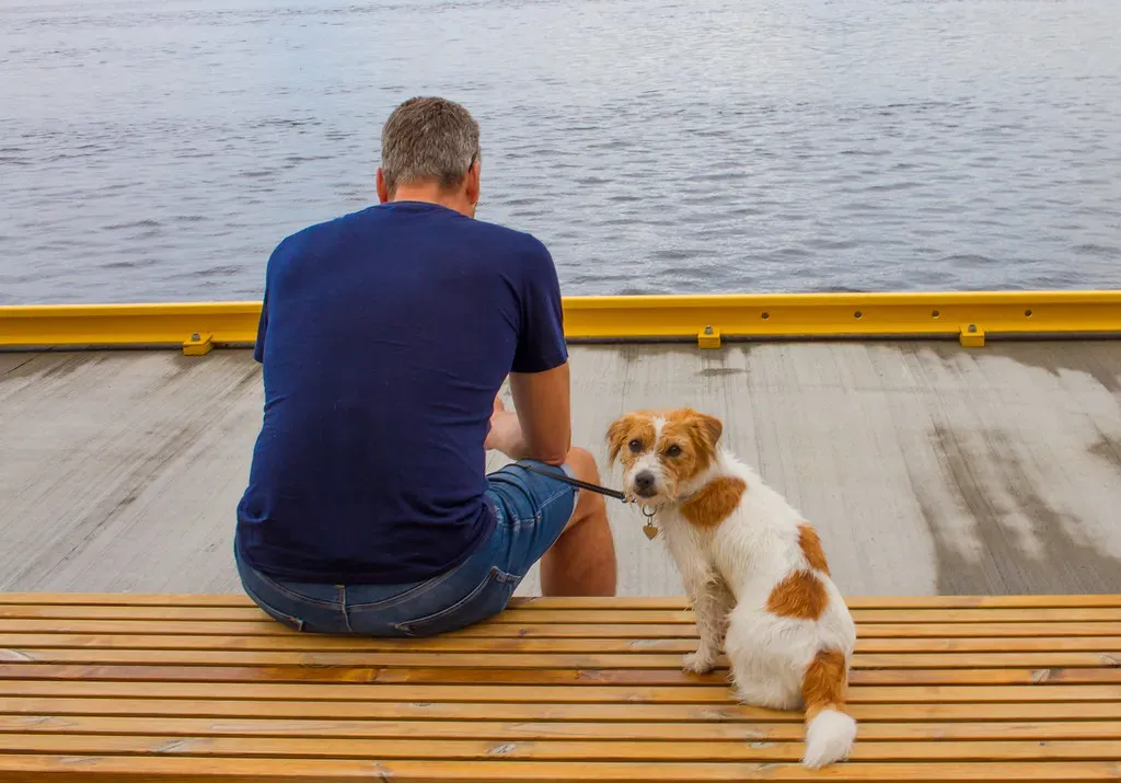 They're Watching How You Treat Their Favorite Humans (Image Credits: Flickr)