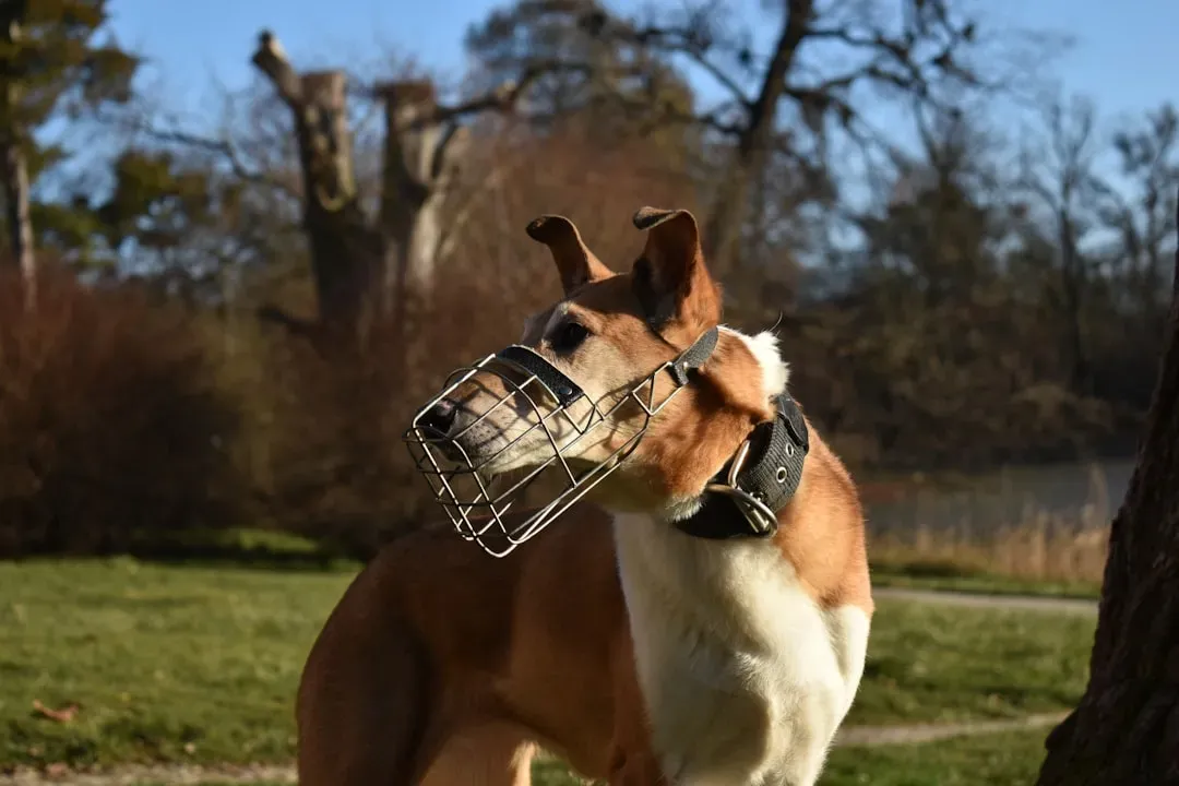 10. Breathable Basket Muzzle (Image Credits: Unsplash)