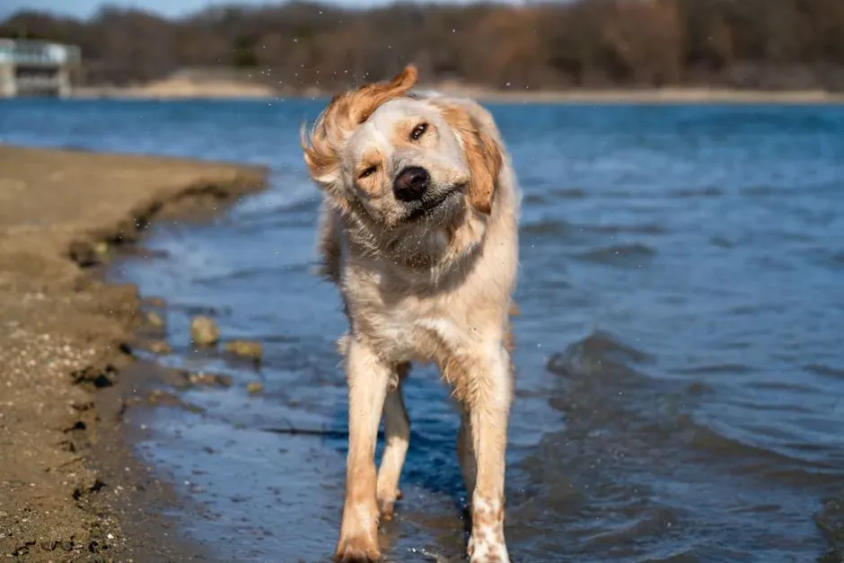 #2 - The "Shake Off" (Or Total Lack of It) After Drop-Off (Image Credits: Pexels)