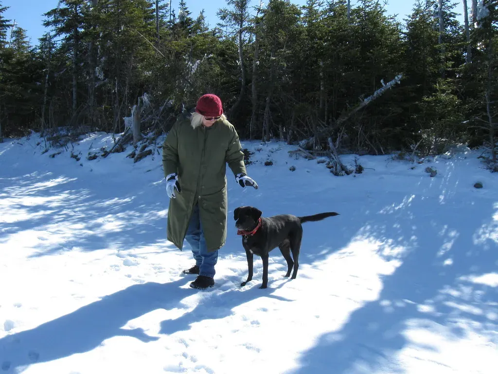 Training Isn't a One-and-Done Deal (Image Credits: Flickr)