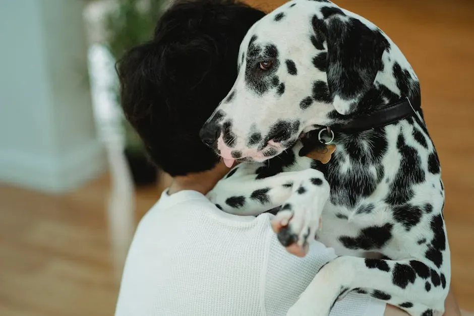 Why Your Dog Follows You Absolutely Everywhere (Yes, Even the Bathroom) (Image Credits: Pexels)