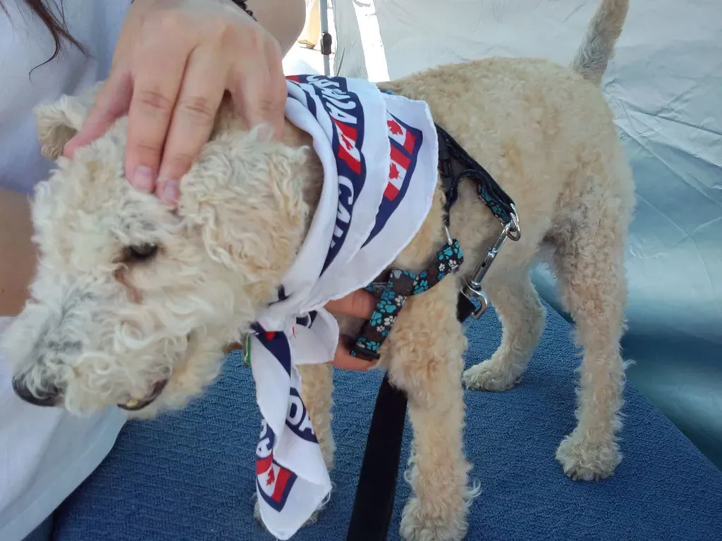 Practical Techniques You Can Start Using Today (Image Credits: Flickr)