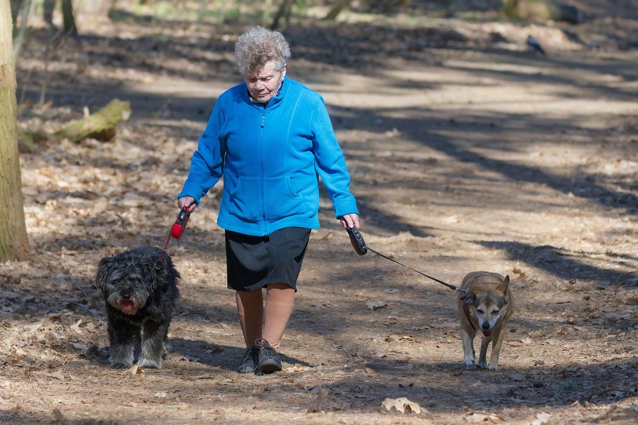 The Daily Exercise Revolution (Image Credits: Pixabay)