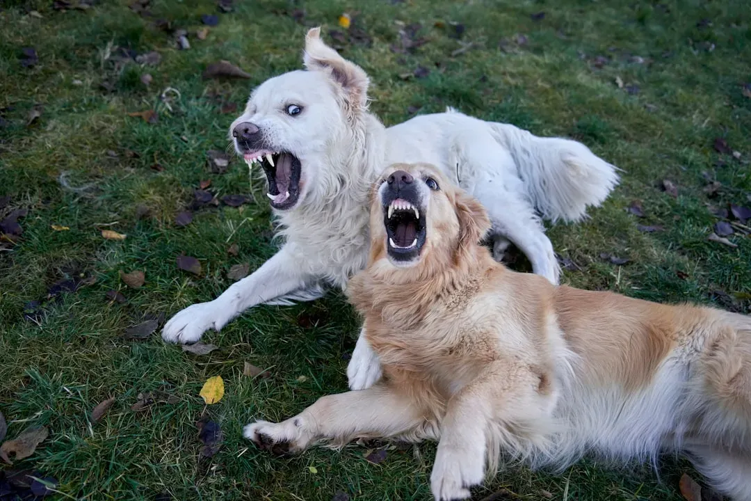 4. Showing You Their “Messy” Sides: Yawning, Stretching, And Big Body Sighs (Image Credits: Unsplash)