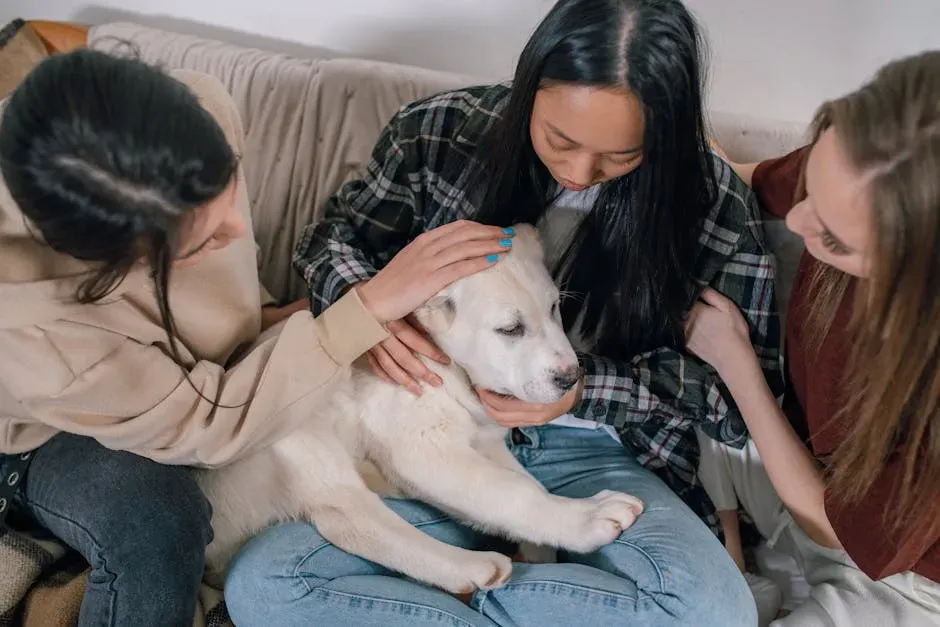 How You Can Make a Real Difference Right Now (Image Credits: Pexels)