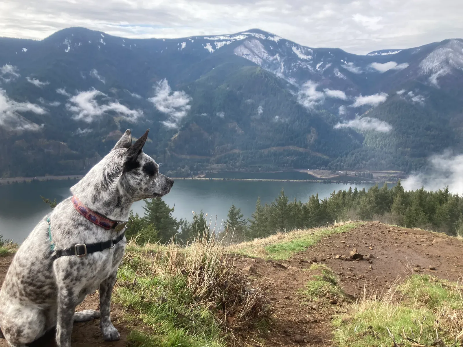 Conclusion: The Best Trips Are the Ones You Share (By Mattsjc, CC BY 4.0)