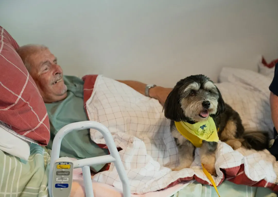 What You Can Do Right Now If an Elderly Loved One Is Hospitalized (Image Credits: Unsplash)