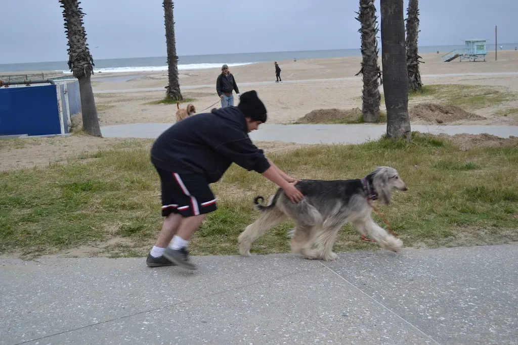 The Environment Is Too Distracting (Image Credits: Flickr)