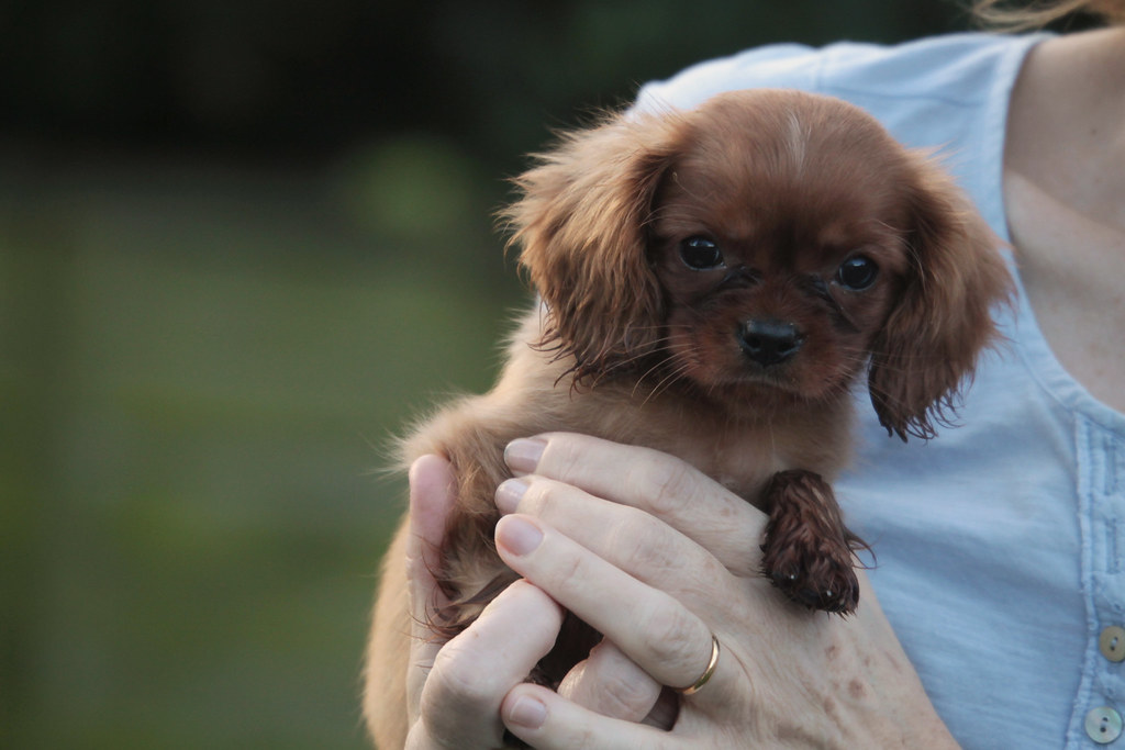 Breaking the Velcro: Building Healthy Independence (Image Credits: Flickr)