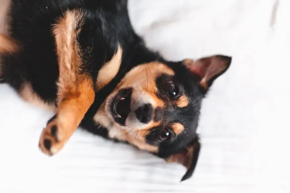 #5 - Flinching at Names and Sounds You've Never Used (Image Credits: Pexels)