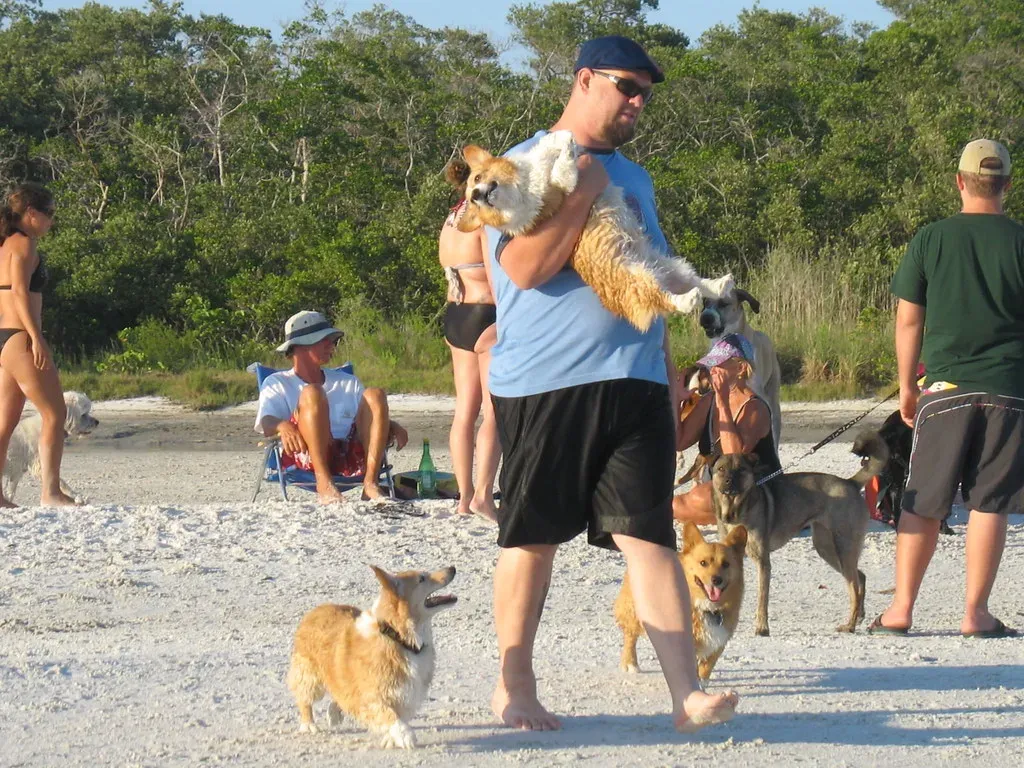 Aries Dog Owners: The Fearless Adventure Buddy (Image Credits: Flickr)