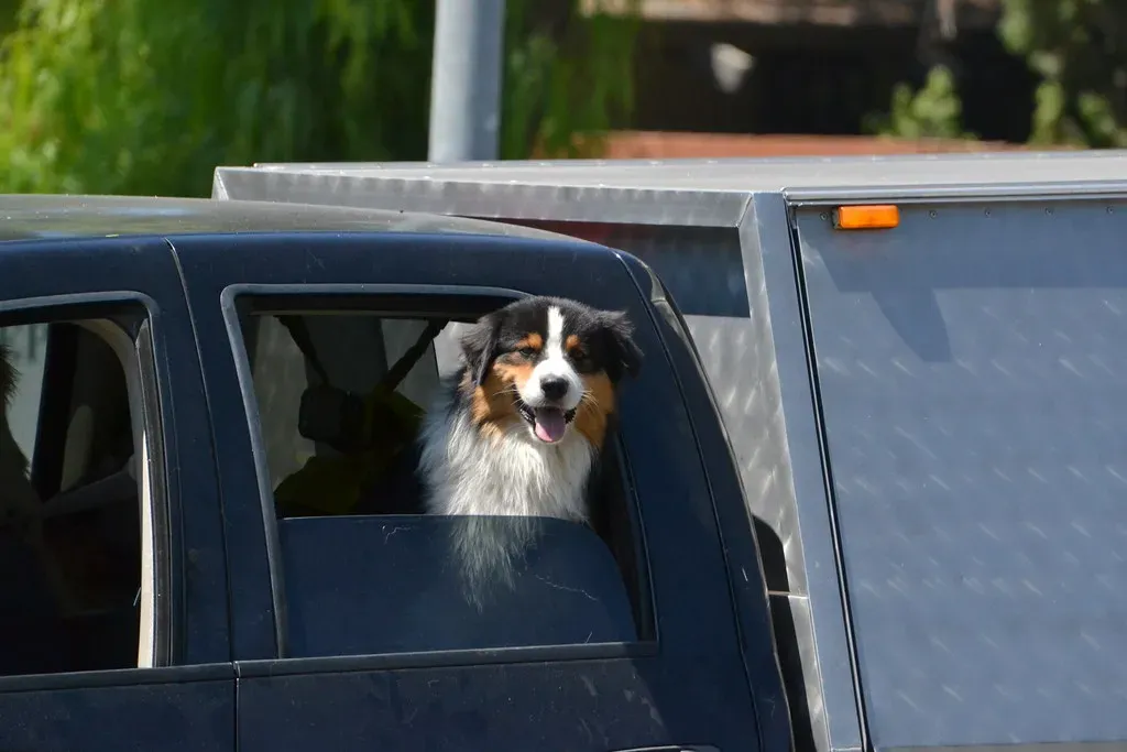 Build Positive Associations With the Car Itself (Image Credits: Flickr)