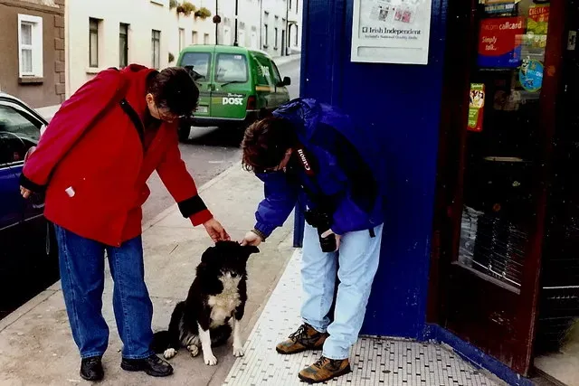 #2 - They Greet Visitors Without Jumping (From geograph.org.uk, CC BY-SA 2.0)